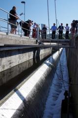 Foto Iztok Pipan (11)